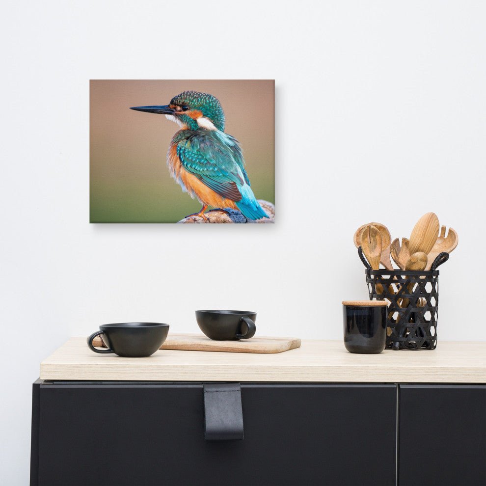Common Kingfisher Bird on Perch Animal Wildlife Photograph Canvas Wall Art Print, 12" X 16"
