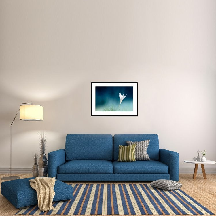 "Lonely" Framed Digital Print by Doris Reindl, 38"x28"