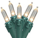 Set of 50 Warm White LED Mini Christmas Lights 4" Spacing - Green Wire