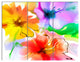 Bunch of Colorful Flowers Sketch, Extra Large Floral Wall Art, 36x28, 3 Panels