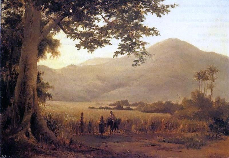 Camille Pissarro Antilian Landscape St. Thomas Wall Decal Print