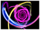 Glowing Purple Neon Rose, Floral Canvas Art Print, 40"x30"