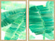 San Diego Diptych, 40x30