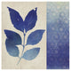 "Indigo Leaves I" Digital Paper Print by Studio Mousseau, 20"x20"