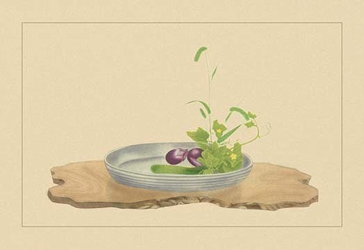 Foxtail Grass, Eggplant, and Cucumber - Fine Art Giclee Print 24" x 36"