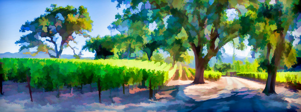 Vineyard Lane, Pano, Art, Giclee On Canvas, 36"x12"