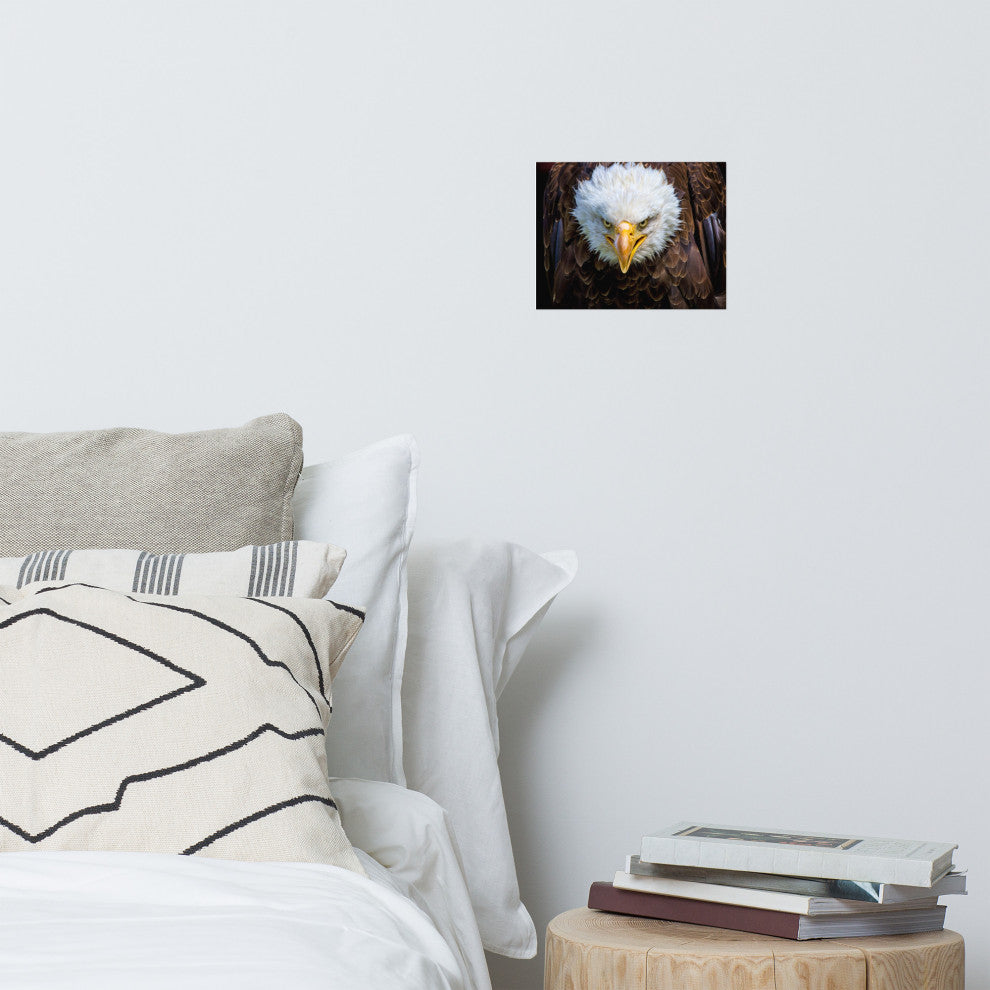 Bald Eagle Portrait Close-up Loose Wall Art Print, 8" X 10"