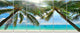 Palm Hanging over Sandy White Beach, Seashore Canvas Print, 70"x28", 6 Panels