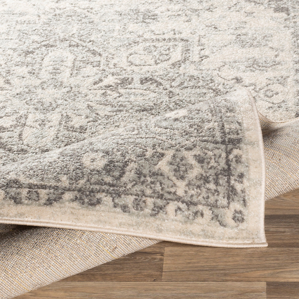 Surya Chester CHE-2312 Traditional Area Rug, 9' x 12' Rectangle