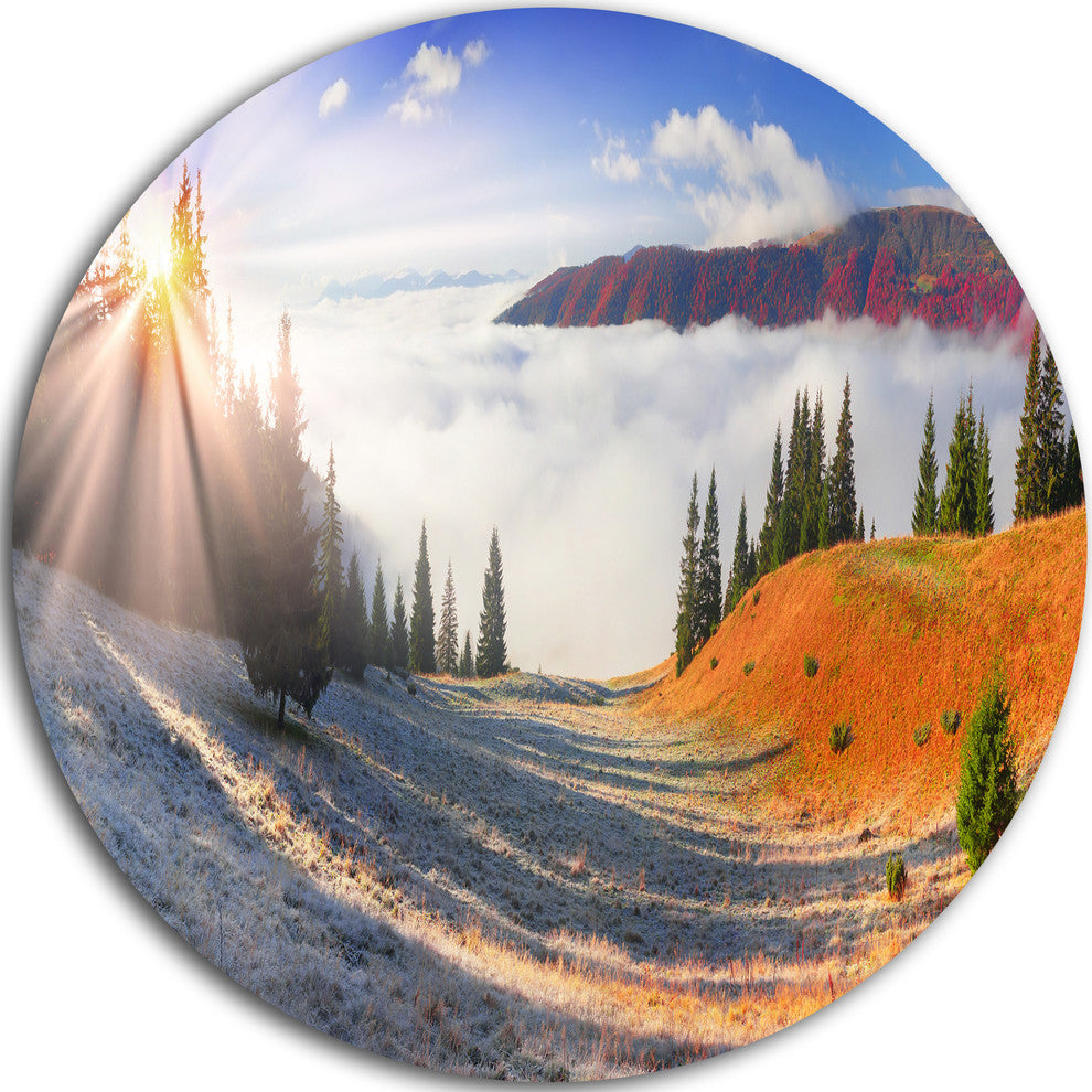 Yellow Beach Forest In Carpathians, Landscape Round Metal Wall Art, 38"
