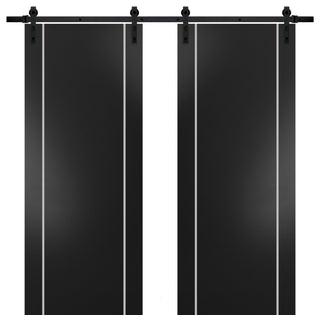 Sturdy Double Barn Door 48 x 80 with | Planum 0410 Matte Black with  | 13FT