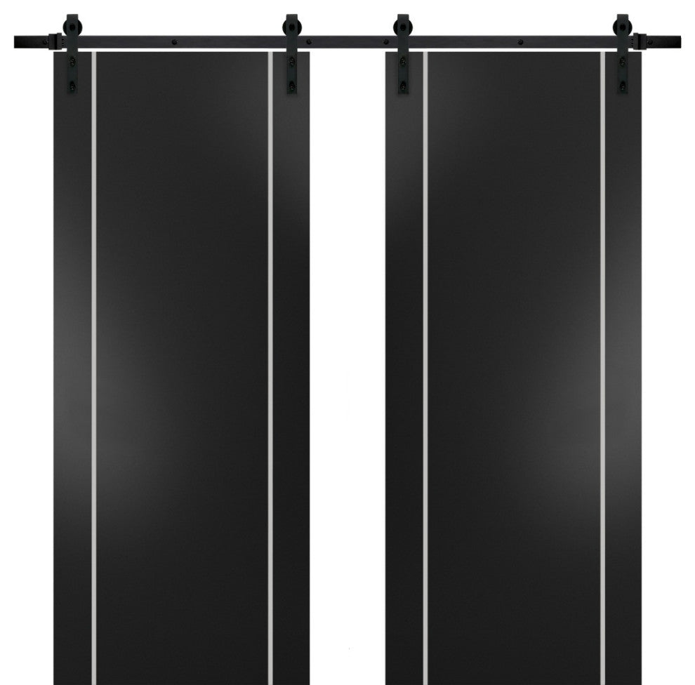 Sturdy Double Barn Door 48 x 80 with | Planum 0410 Matte Black with  | 13FT