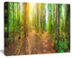 Dense Forest Panorama, Landscape Canvas Art Print, 40"x30"