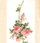 FLORAL - Flower Colorful Cream Wallpaper Sample