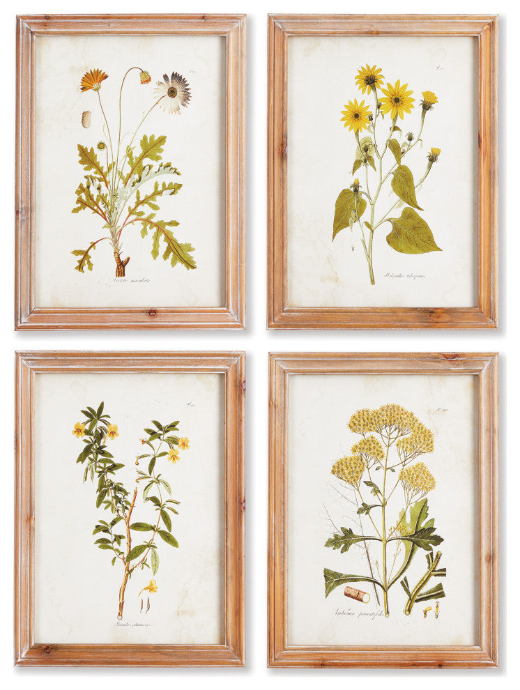 Golden Wildflower Study, Set of 4