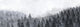 "Winter Pine Trees" Painting Print on Wrapped Canvas, 60x20