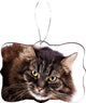 Purebred Fluffy Brown Cat Green Eyes Masonite Flat Christmas Tree Ornament