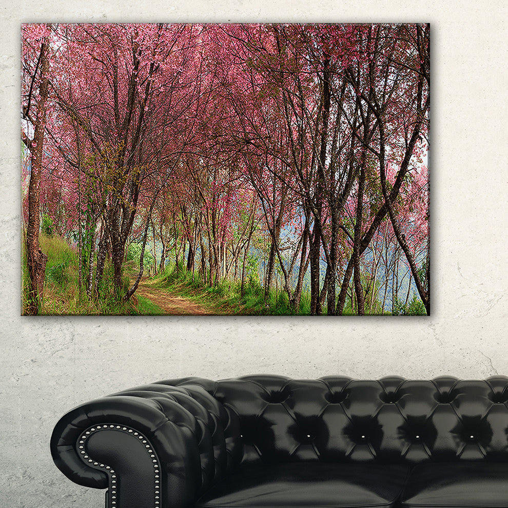 "Sakura Pink Flowers in Thailand" Landscape Art Print Canvas, 40"x30"