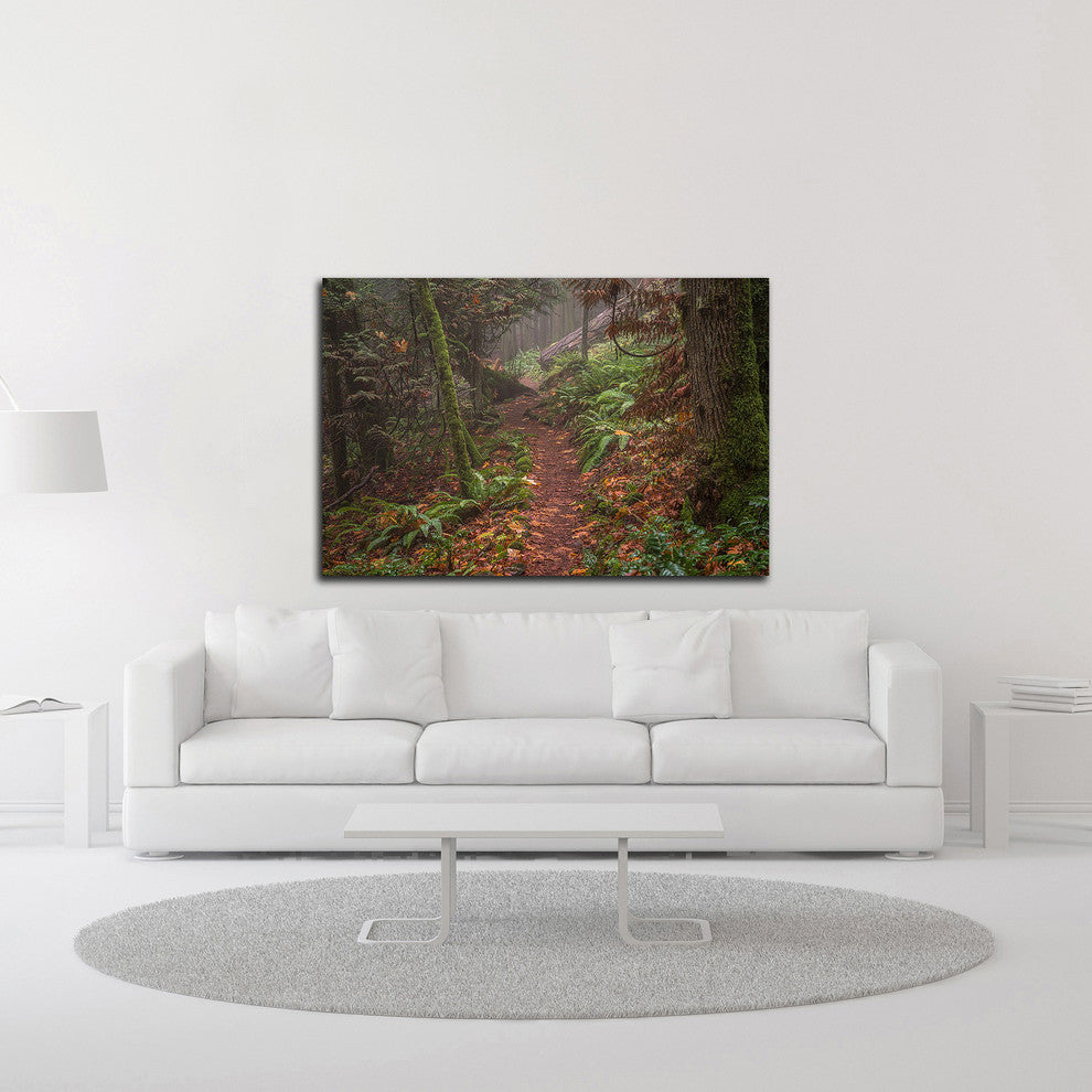 Forest Stroll by Tim Oldford, Print on Canvas, 36"x24"