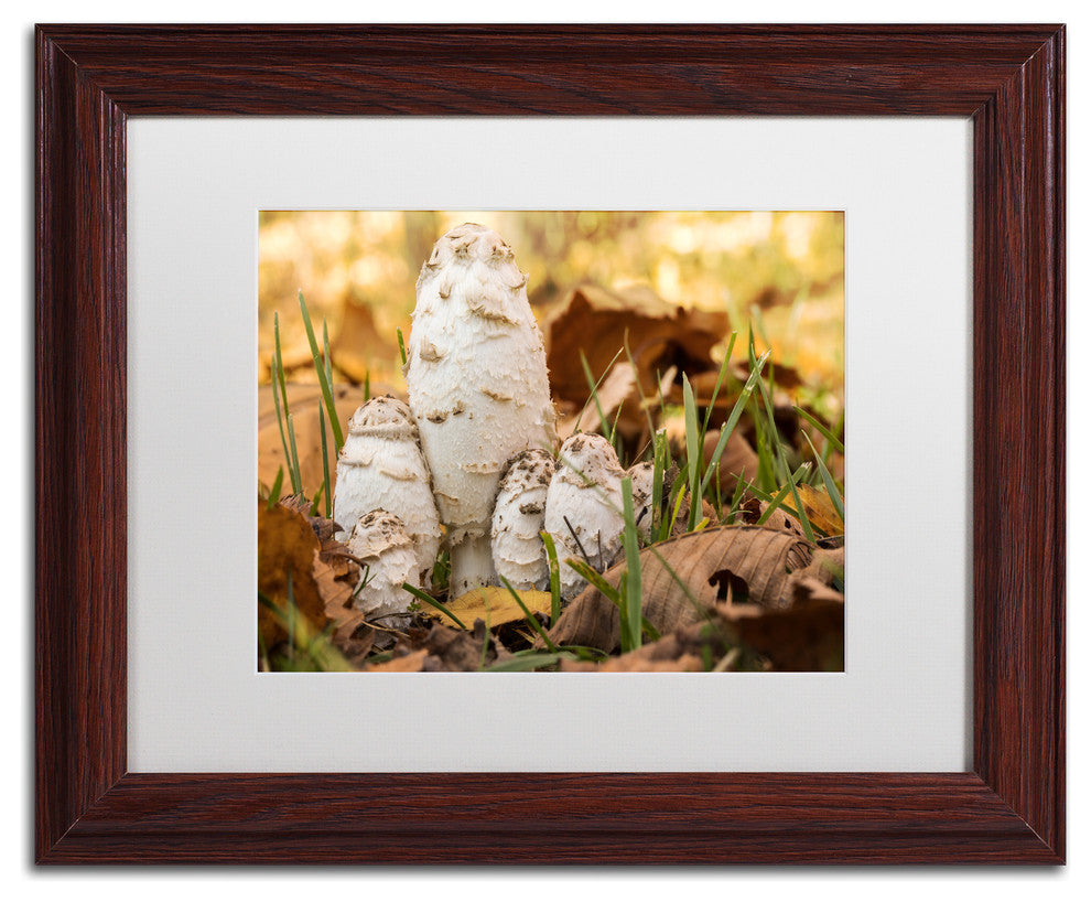 Jason Shaffer 'Autumn Mushrooms' Matted Framed Art, Wood Frame, White Mat, 14x11