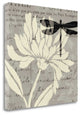 "Natural Prints II" By Daphne Brissonnet, Giclee Print on Gallery Wrap Canvas