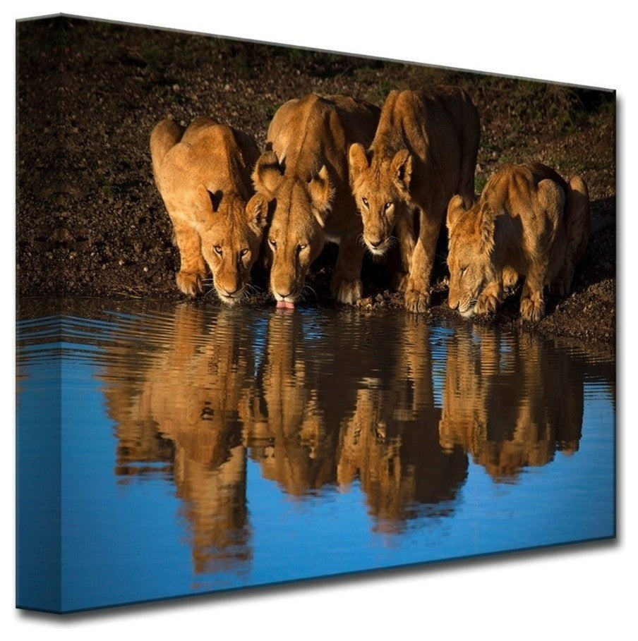 Lions of Mara' Canvas Wall Decor