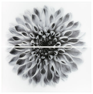 "Dahlia AB" Frameless Free Floating Tempered Glass Panel Graphic Wall Art Set