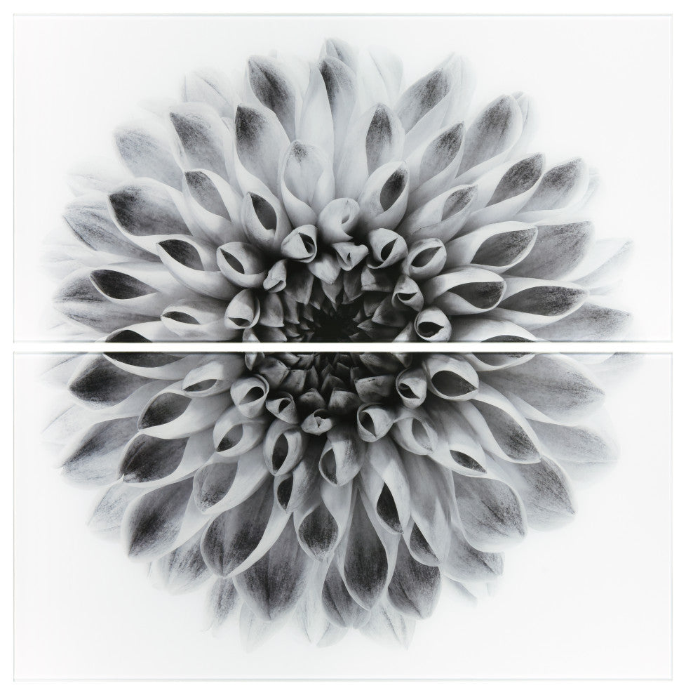 "Dahlia AB" Frameless Free Floating Tempered Glass Panel Graphic Wall Art Set