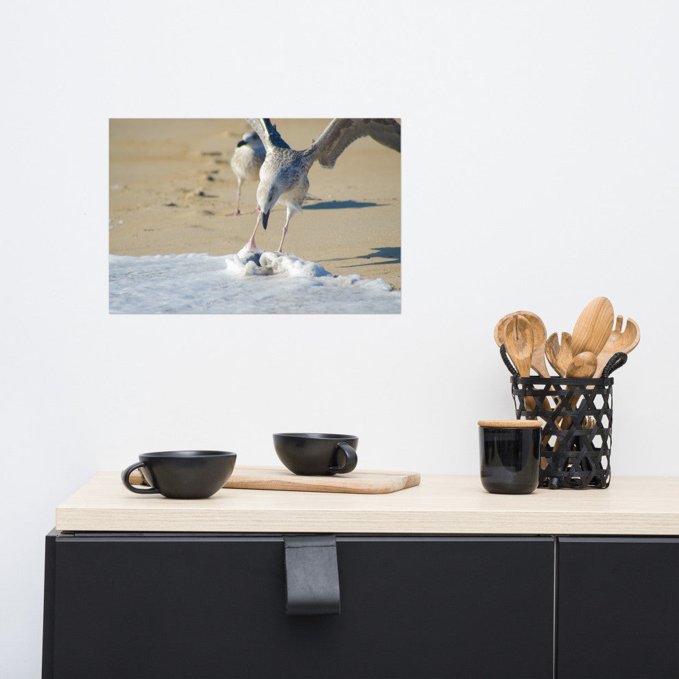 Oh That's Cold (Coastal Birds) Wildlife Photography Unframed Wall Art Print, 12" X 18"