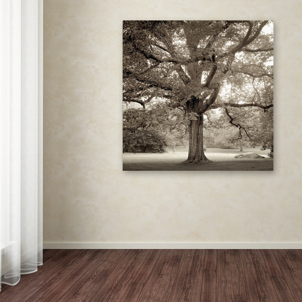 Alan Blaustein ''Hampton Maple I'' Canvas Art, 35x35