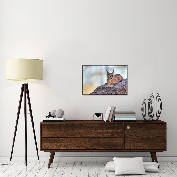 "Caracal" Framed Canvas Giclee by Alessandro Catta, 31x21"