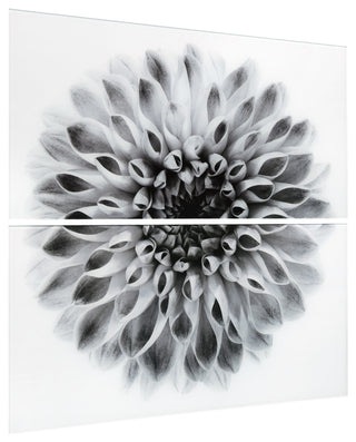 "Dahlia AB" Frameless Free Floating Tempered Glass Panel Graphic Wall Art Set