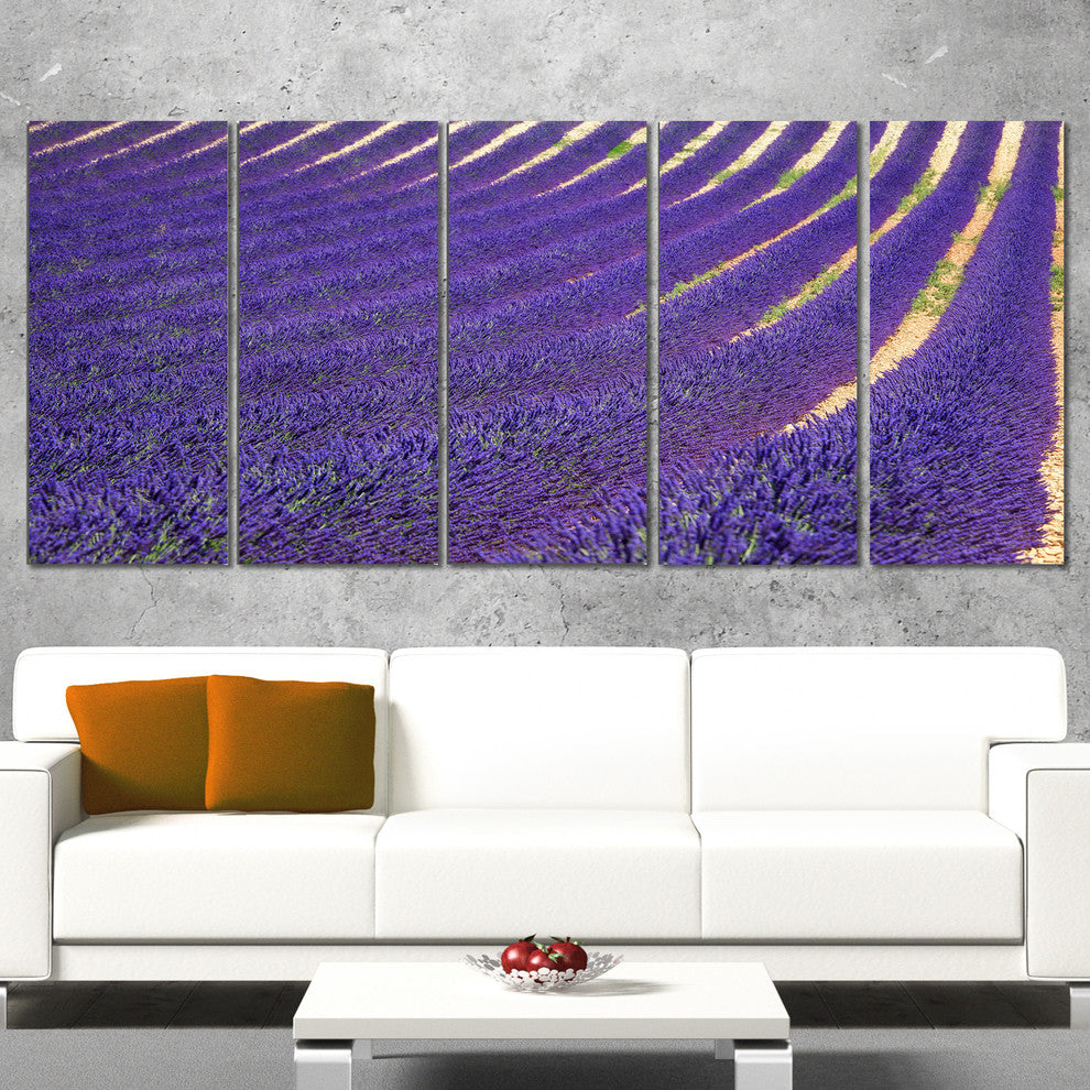 "Lavender Blooming Fields As Texture" Landscape Wall Art, 5 Panels, 60"x28"