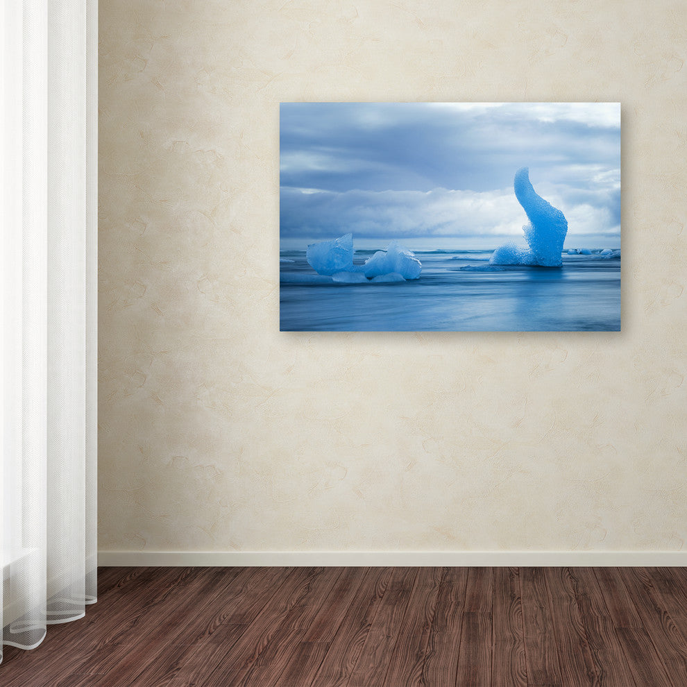 Philippe Sainte-Laudy 'Flying Blue' Canvas Art
