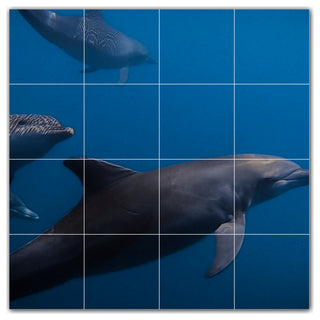 Dolphin Ceramic Tile Wall Mural HZ500499-44L. 32" x 32"
