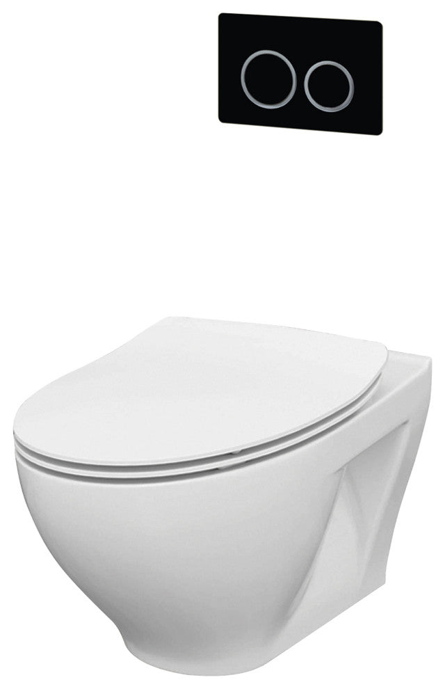 In-Wall Toilet Set, Black Round Actuators, 2"x6" Carrier & Tank