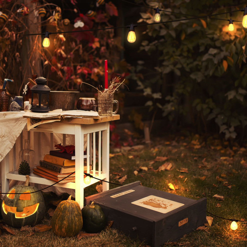 Solar Ambience Pro with Flaming, Flickering LED Bulbs, Nonhanging