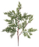 Pine Spray, Set of 12