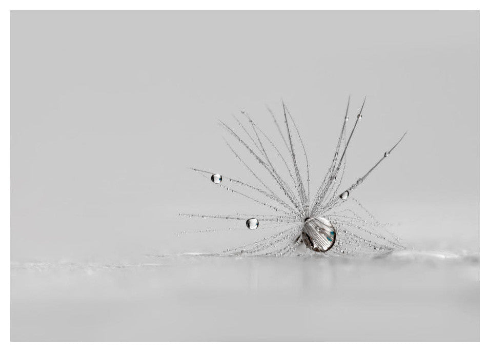 "My Silver Spider" Digital Paper Print by Heidi Westum, 24"x18"