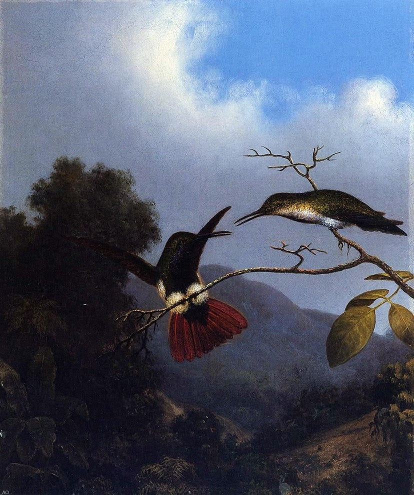 Martin Johnson Heade Black-Throated Mango, 20"x25" Wall Decal