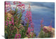 "Fireweed Against Flowing Stream, North America" Artwork, 40" x 30"