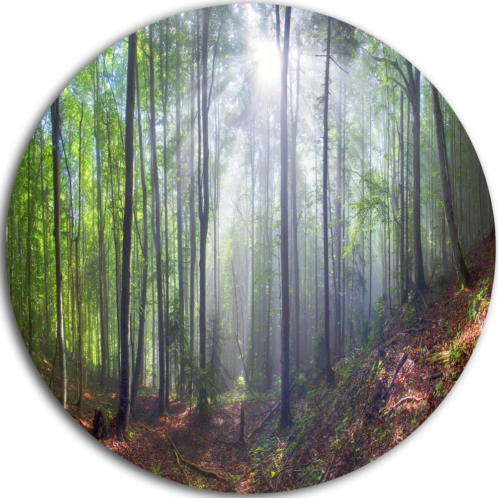 Morning Sun Rays In Carpathian, Landscape Round Metal Wall Art, 38"
