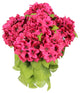 Admired By Nature 7-Stem Artificial Full Blooming Stain Hydrangea, Magenta