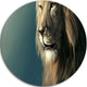 Lion With Serious Look, Animal Art Disc Metal Wall Art, 36"
