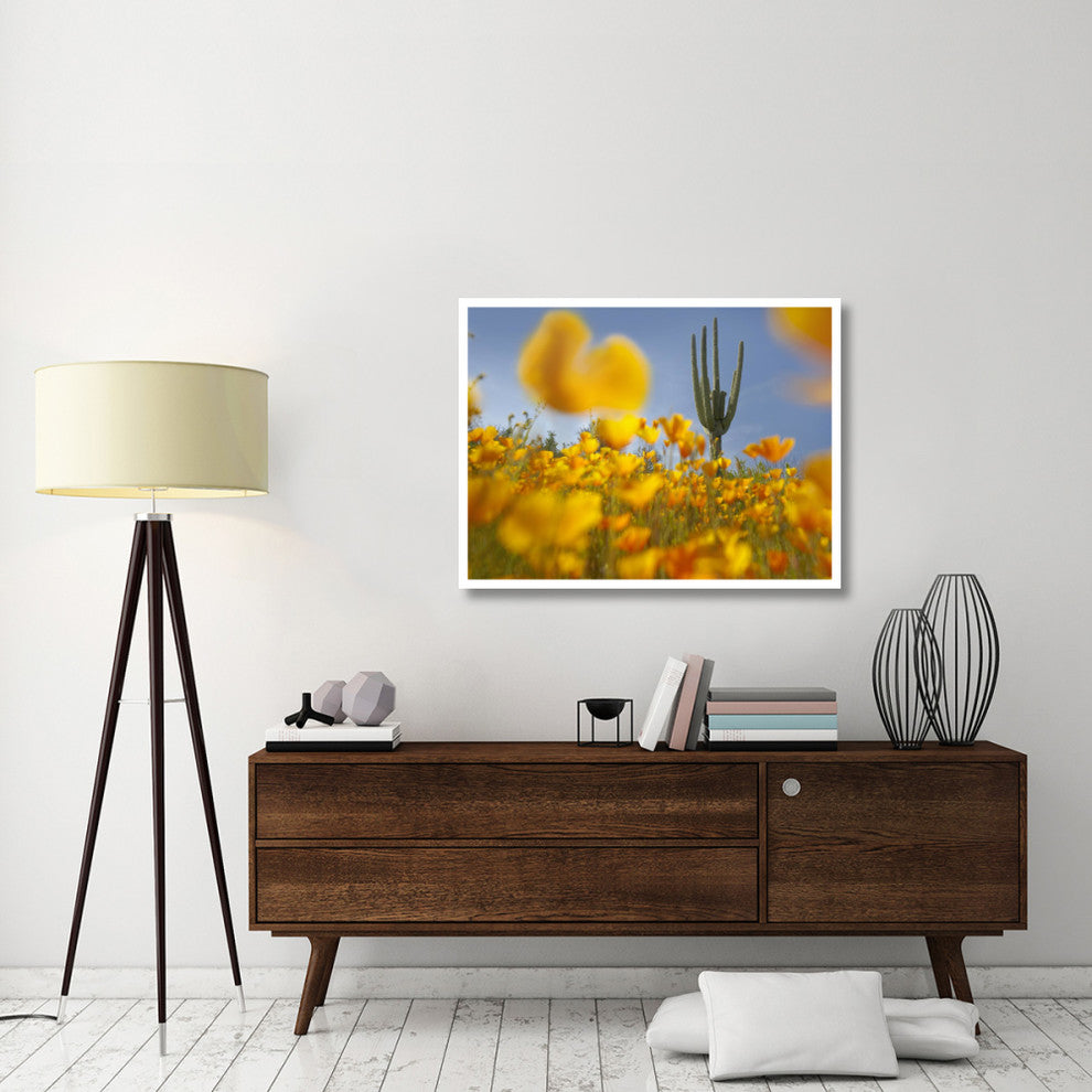 "Saguaro cactus and California Poppy field, Gonzales Pass" Paper Art, 42"x32"