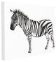 Zebra Standing Black and White Watercolor Animal Painting, 30"x40", Canvas Art
