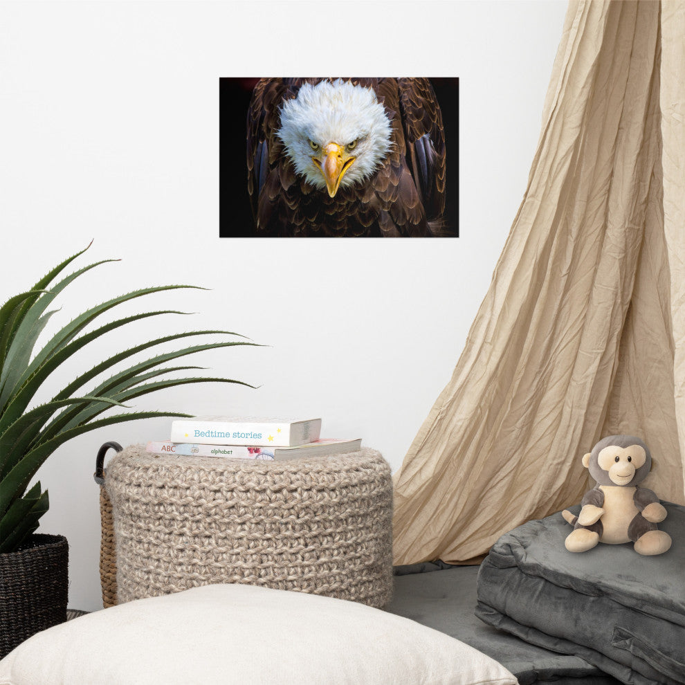 Bald Eagle Portrait Close-up Loose Wall Art Print, 12" X 18"