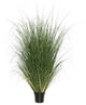 60" Green Curled Grass In Pot