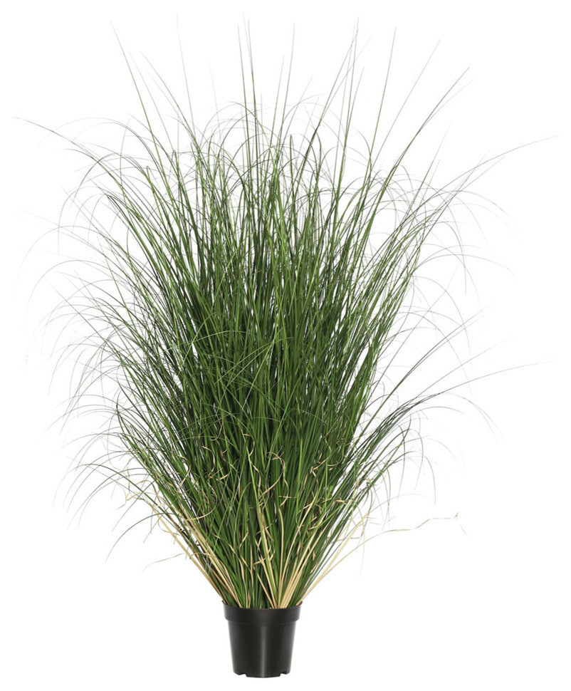 60" Green Curled Grass In Pot