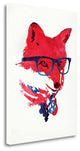 "American Fox" By Robert Farkas, Giclee Print on Gallery Wrap Canvas